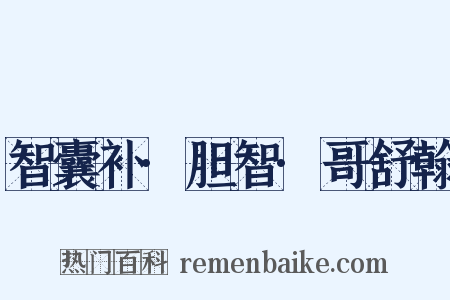 智囊补·胆智·哥舒翰是什么意思的图片